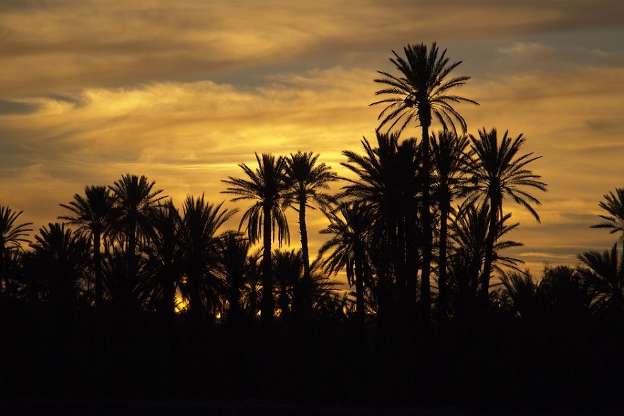 7 days From Marrakech to desert of Merzouga