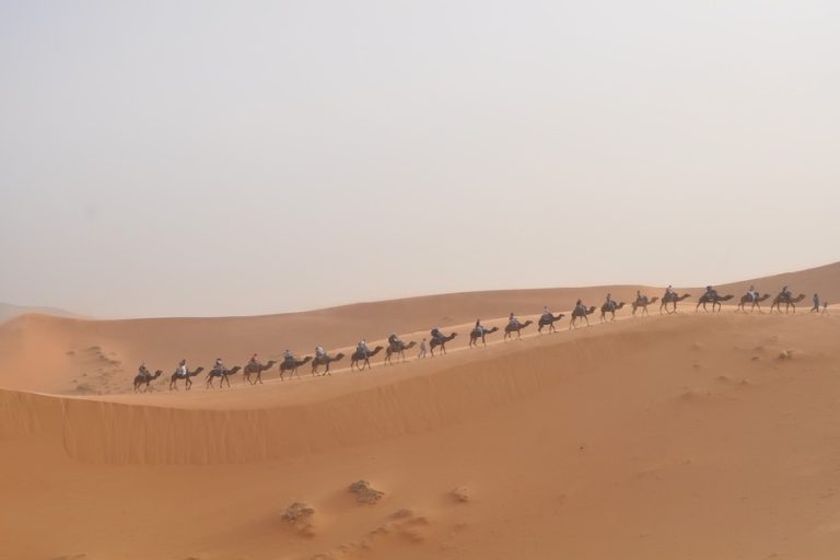 10 Days Tour from Fes