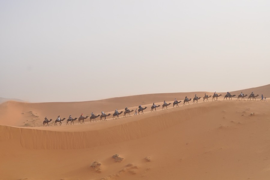 10 Days Tour from Tangier