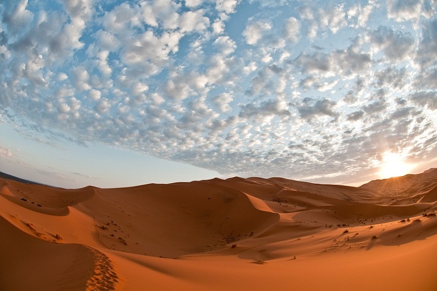 12 Days Tour from Tangier