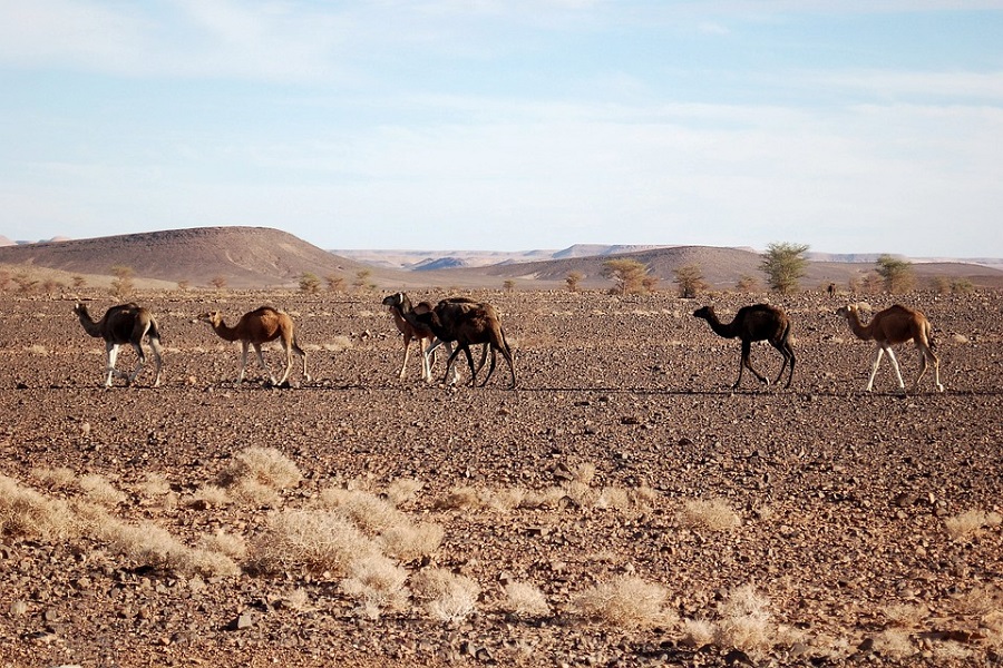 2 Days Tour from Marrakech
