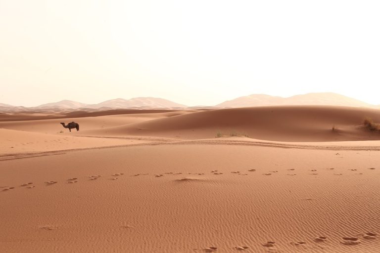 3 Days Tour from Fes to Sahara