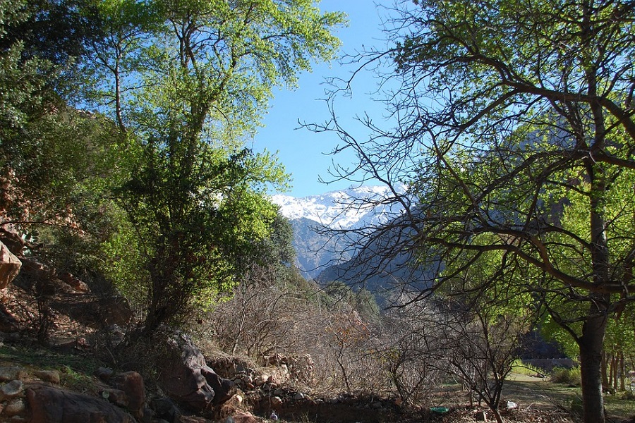 6 Days Tour from Marrakech