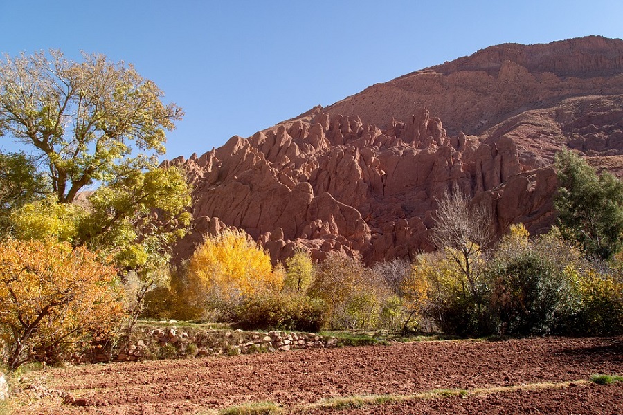 6 Days Tour from Marrakech
