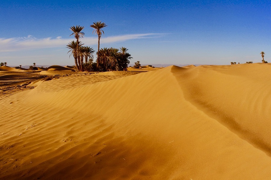 6 Days Tour from Tangier