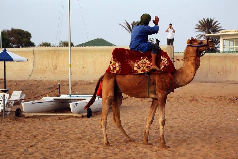 6 Days Tour from Tangier