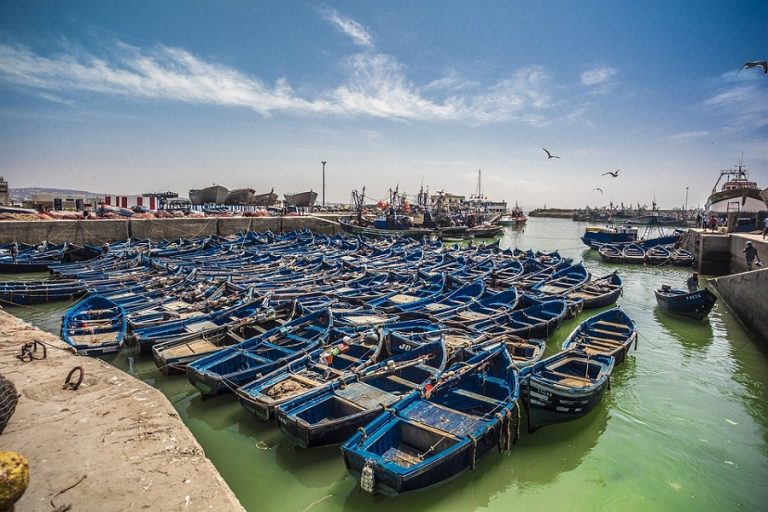Day Trip From Marrakech To Essaouira